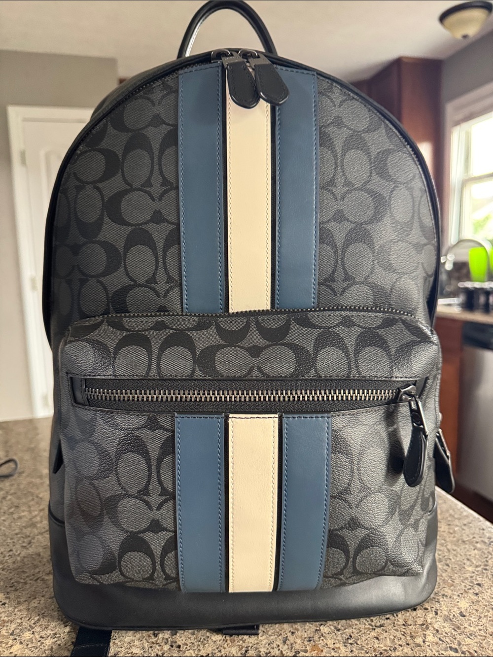 😎Coach Men's Signature Canvas Backpack in Gray !! EUC good condition 😎